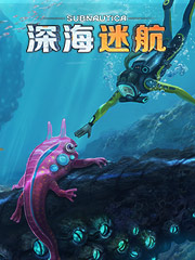 哈尔滨的衣服便宜